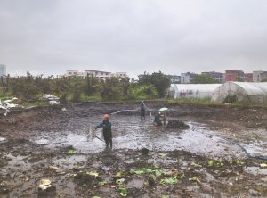 安泽河道鱼塘清淤
